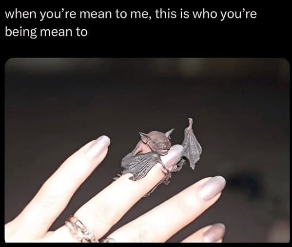 A funny bat meme using a picture of a tiny, vulnerable baby bat clinging to a finger to guilt-trip someone.