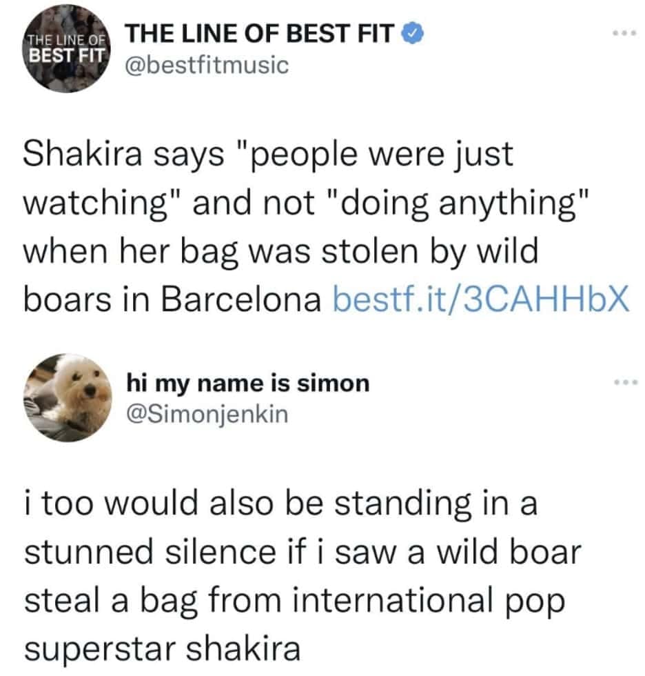 A tweet about wild boars stealing Shakira's bag, a truly unbelievable brand new sentence from a real headline.