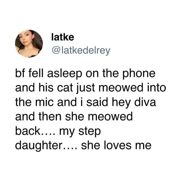 A funny cat tweet about a woman bonding with her boyfriend's cat over the phone.