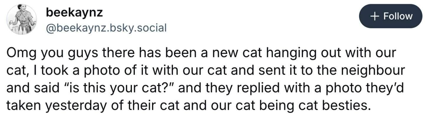 A wholesome cat meme tweet about two neighbor cats who became secret best friends.
