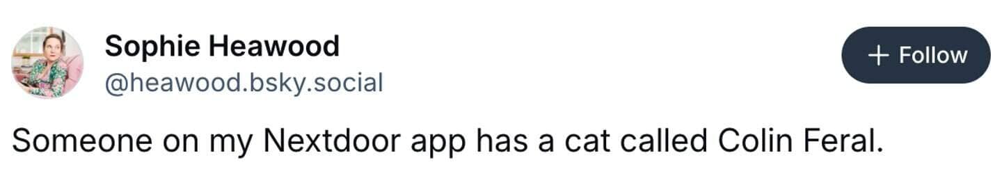 A screenshot of a funny cat tweet about a cat named Colin Feral.