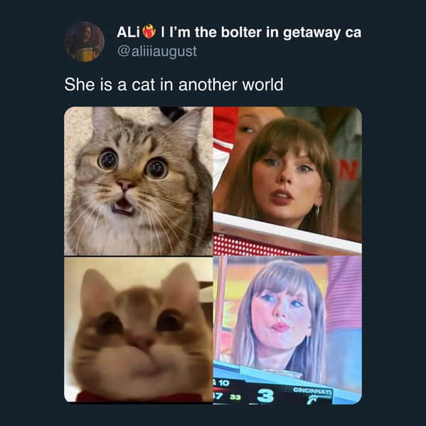 Taylor Swift cat meme comparing her expressive game-day faces to funny cats.