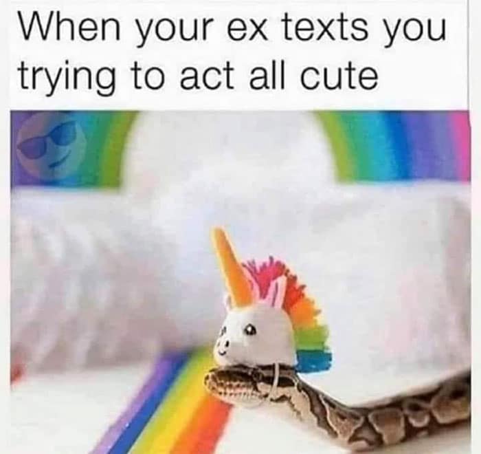 Funny cheating meme using a picture of a snake wearing a cute unicorn horn, representing a deceitful ex texting.