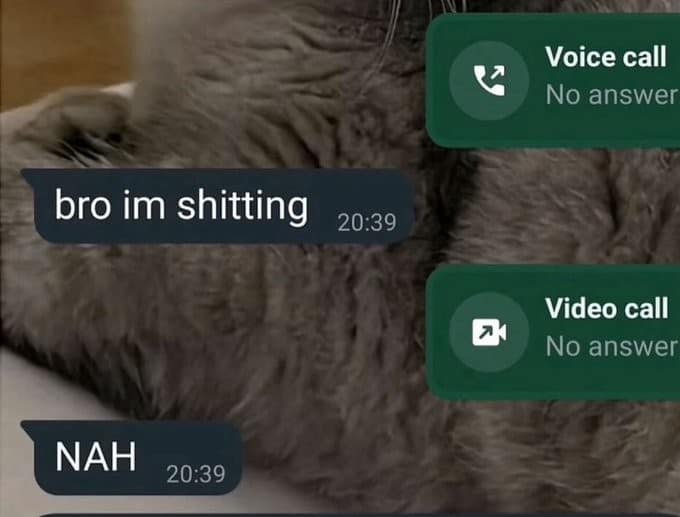 A classic meme of a text exchange where someone's excuse for not answering a phone call is immediately put to the test.