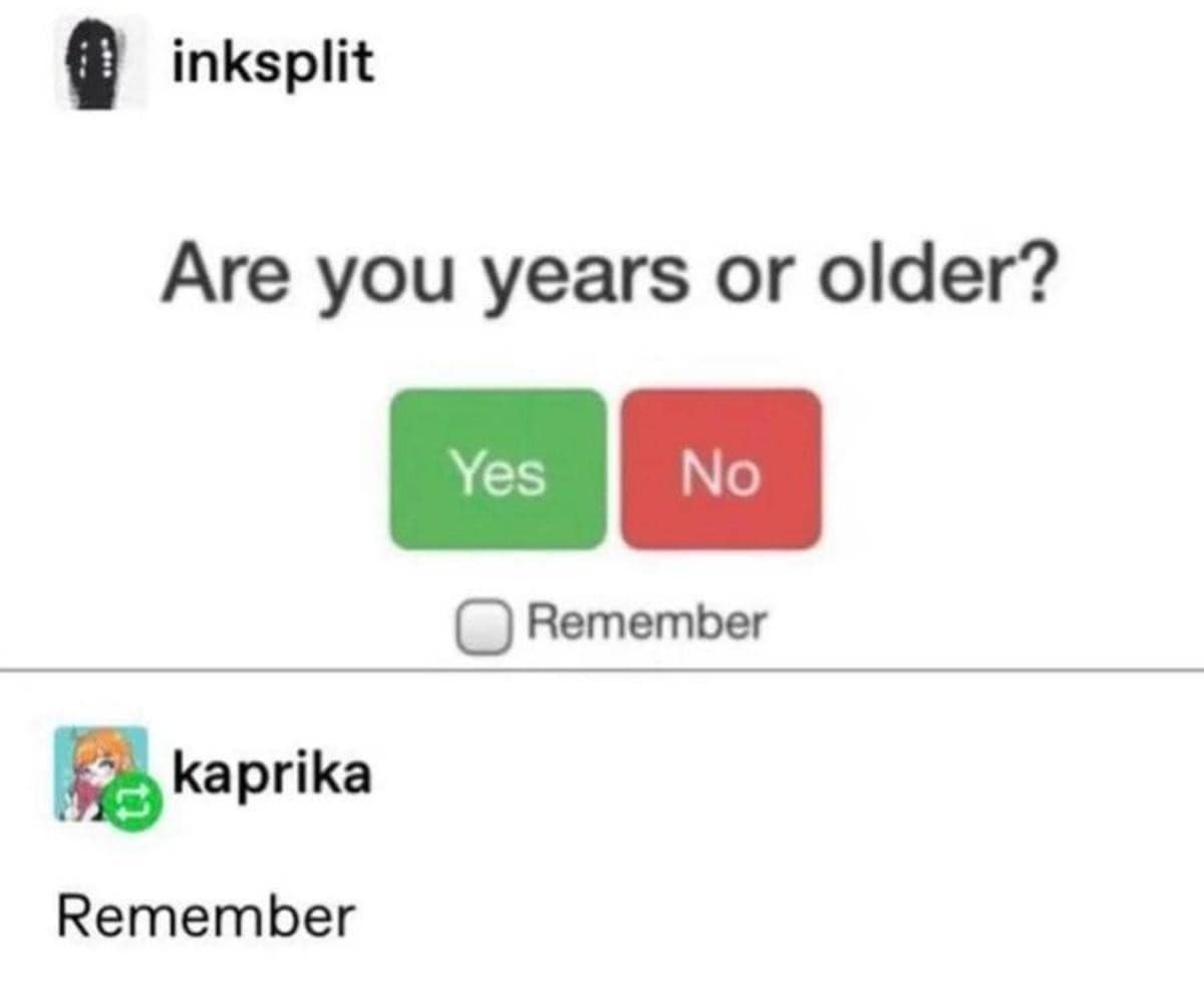 A classic meme of a broken age verification question and a hilarious, deadpan user response.