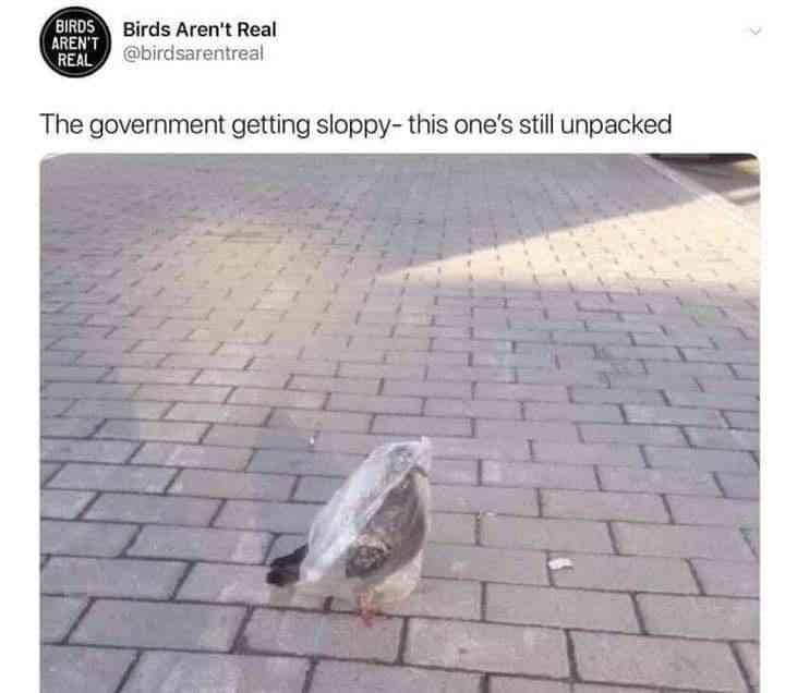 A classic meme from the 'Birds Aren't Real' account joking about an 'unpacked' government drone bird.