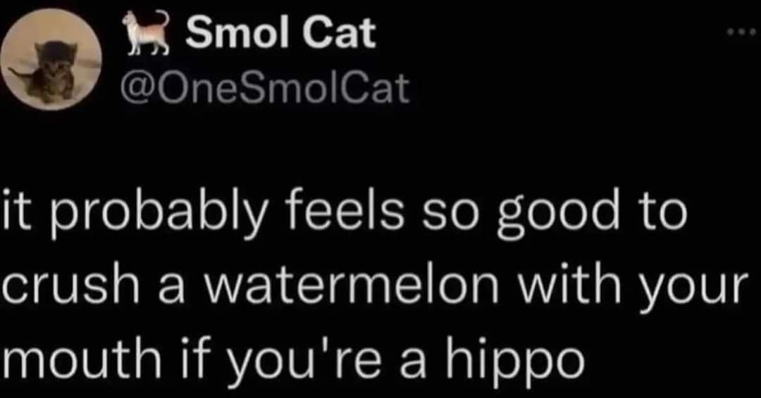 A classic meme of a viral tweet about how good it must feel for a hippo to crush a watermelon.