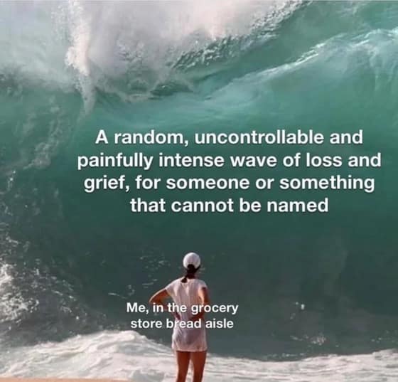 A classic meme describing a sudden, intense wave of grief hitting randomly in the grocery store bread aisle.