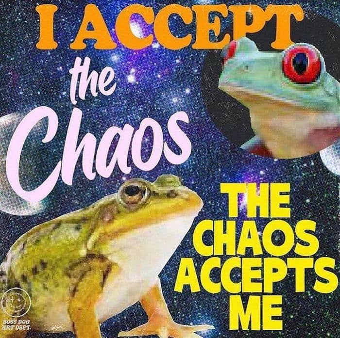 A classic meme with surreal frog art that says "I accept the chaos, the chaos accepts me."