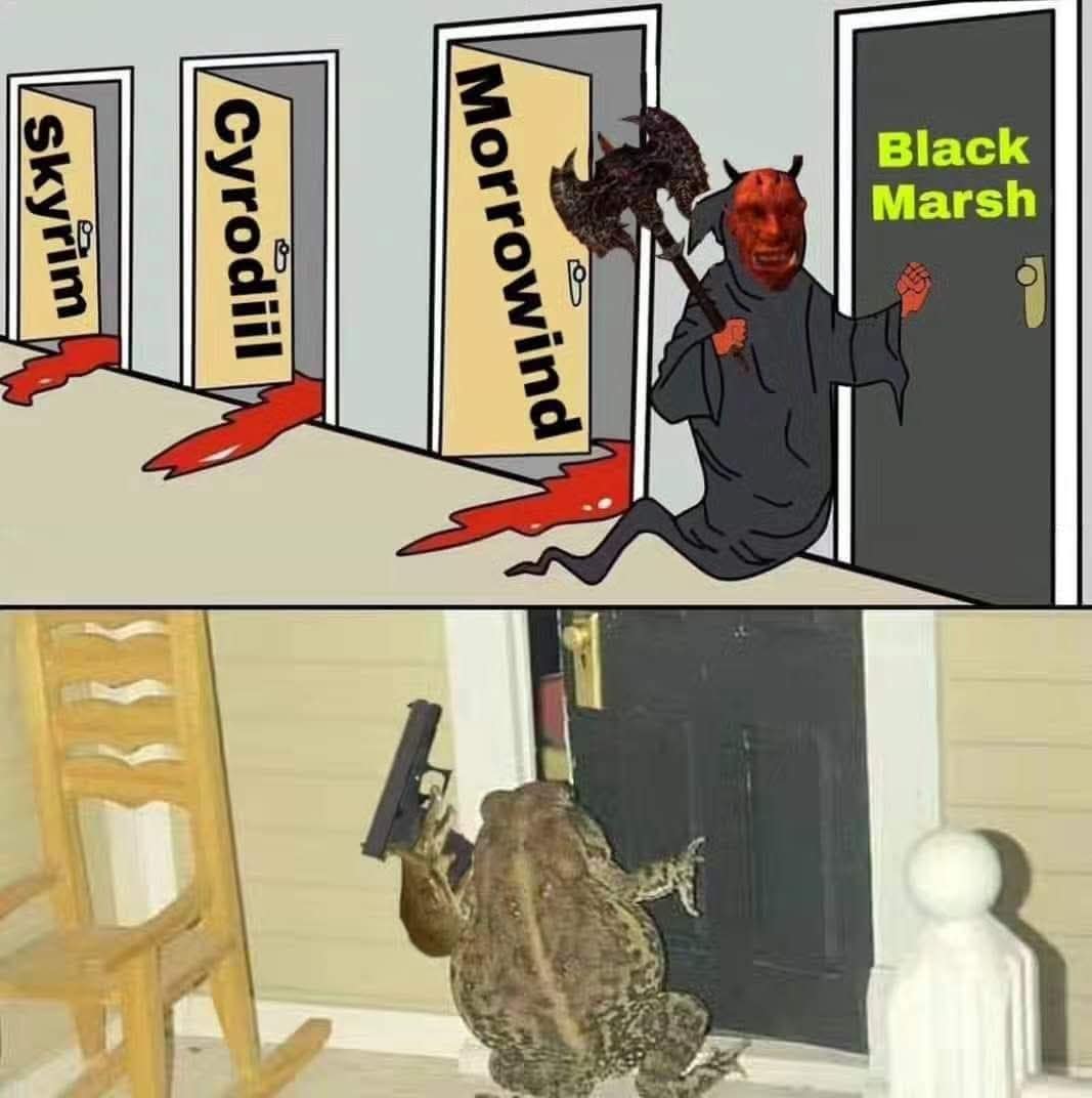 A classic meme for gamers that makes a joke about the lore of The Elder Scrolls series.