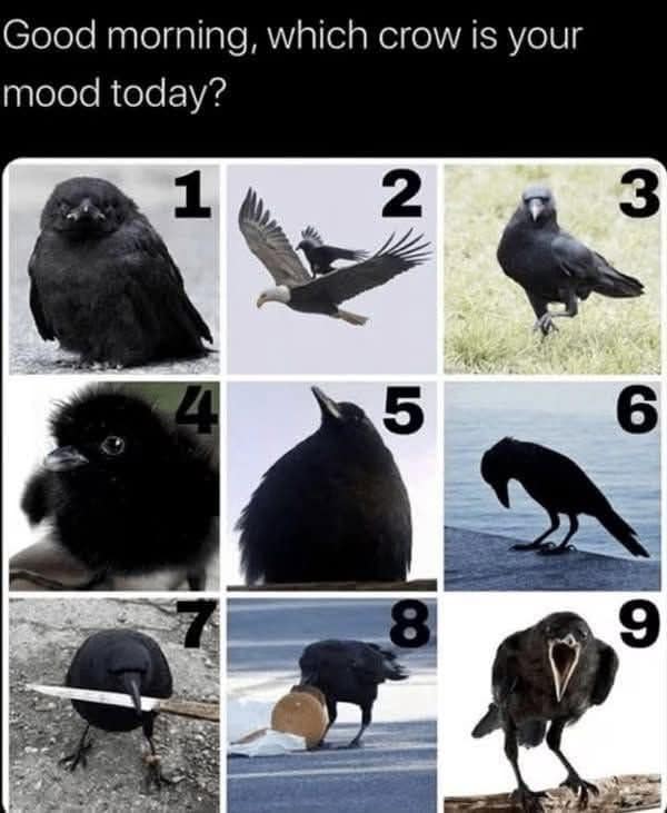 A classic meme asking "which crow is your mood today?" with nine options.
