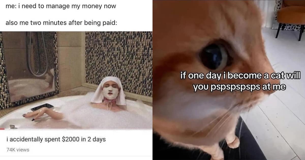 A gallery of classic memes, including viral tweets and old meme formats, for a laugh.