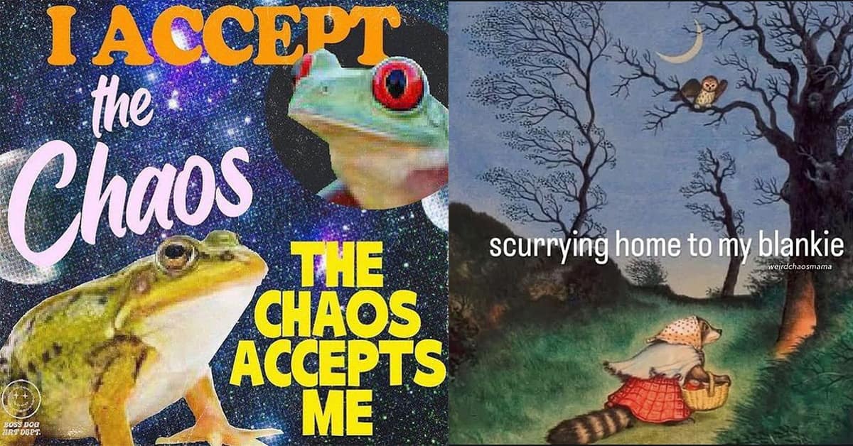 A gallery of classic memes, including funny viral tweets and old meme formats