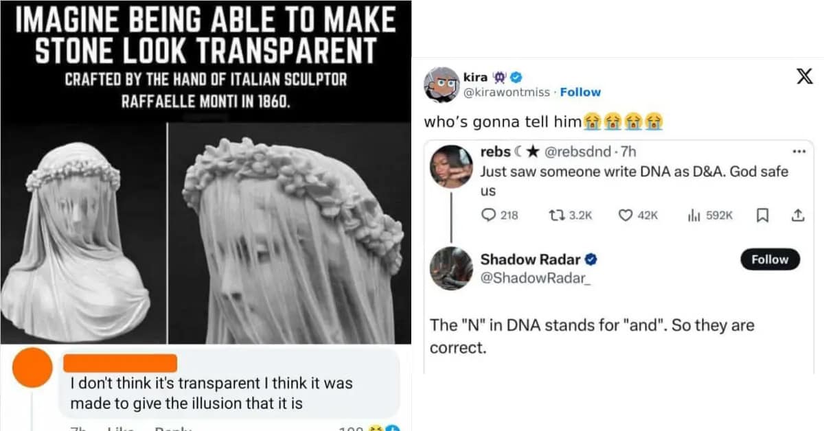 A gallery of the best examples of people being confidently incorrect online.