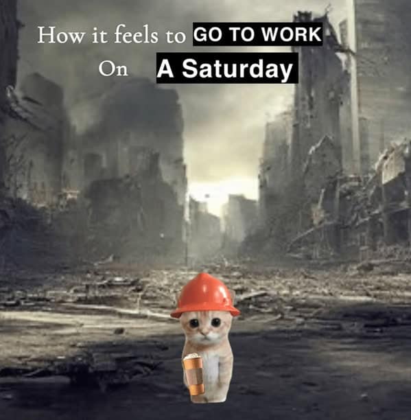 A construction worker meme showing a sad cat in a hard hat, with the caption "How it feels to go to work on a Saturday."