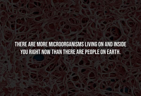 Creepiest facts image: More microorganisms live on and inside your body than the total number of humans on Earth.