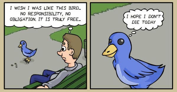 A dark humor comic contrasting a man romanticizing a bird's freedom with the bird's fear of death