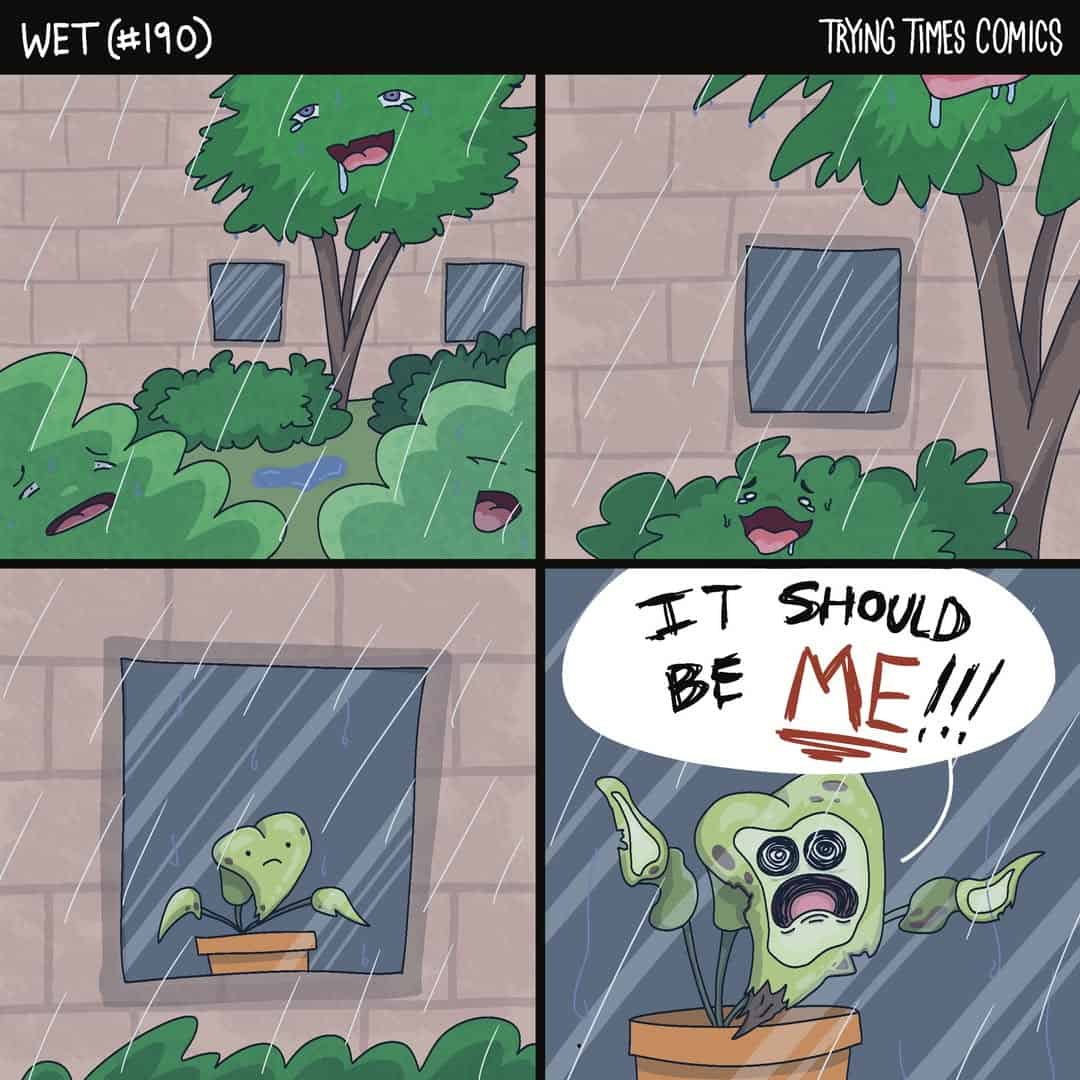 A dark humor comic showing a houseplant that is jealous of the plants outside getting rained on.
