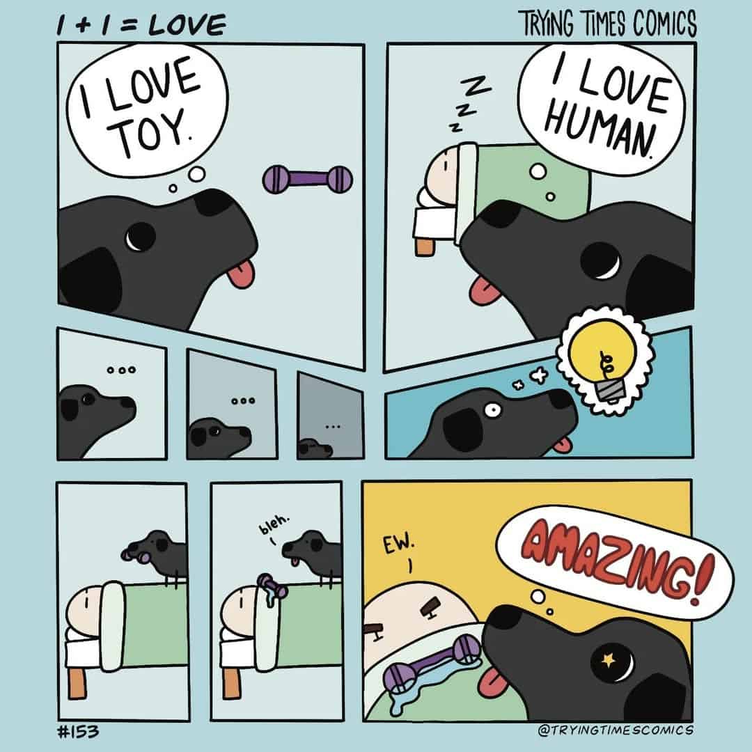 A wholesome dark humor comic showing a dog's brilliant plan to combine its love for its toy and its human.