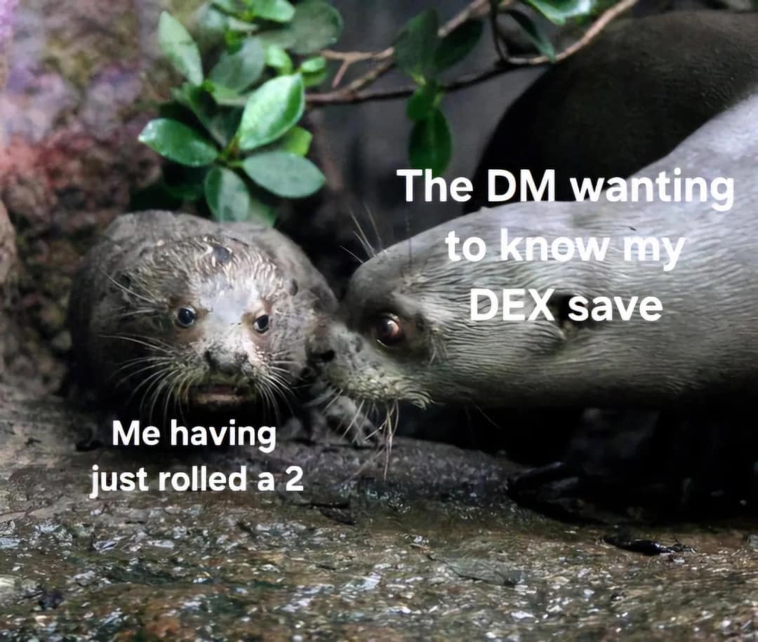 A funny dnd meme of a scared otter, representing a player who has just rolled a 2 on a Dexterity saving throw.