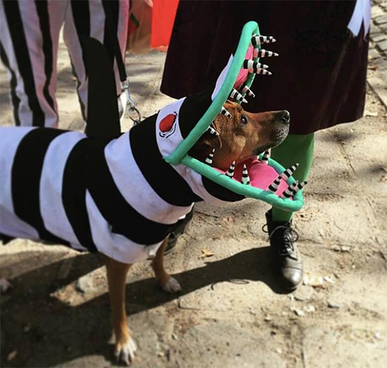 An elaborate and creepy dog Halloween costume of the sandworm from the movie Beetlejuice.