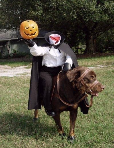 A brilliant dog Halloween costume of the Headless Horseman, where the dog acts as the horse.