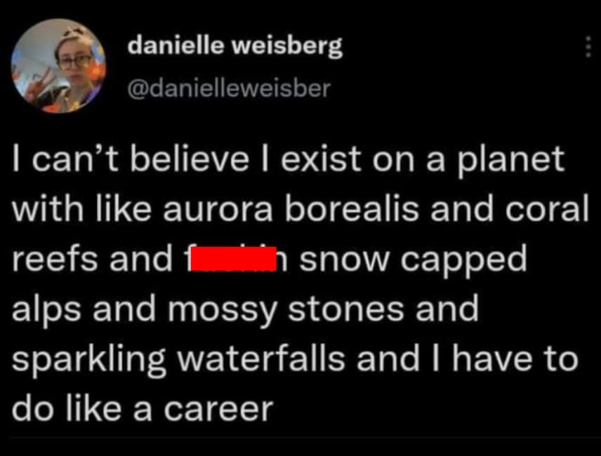 Existential meme tweet lamenting needing a career despite living on a beautiful planet with natural wonders.