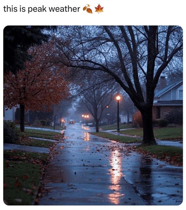 A moody photo of a rainy suburban street in autumn with the caption "this is peak weather."
