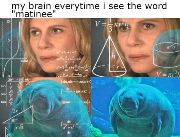A confused manatee in the "Math Lady" format, a funny animal meme about the word "matinee."