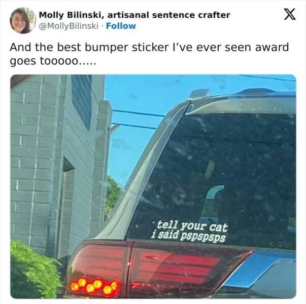 A wholesome and funny bumper sticker for cat lovers that reads, "tell your cat i said pspspsps."
