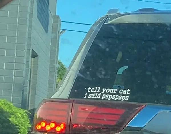 A wholesome and funny bumper sticker that reads, "tell your cat i said pspspsps."