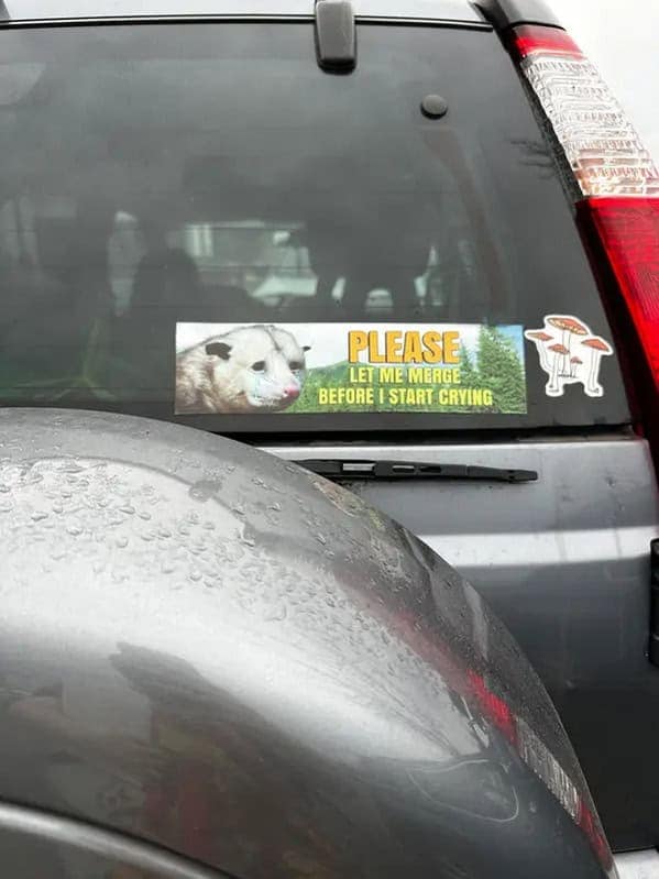 A funny bumper sticker with a crying possum that says, "Please let me merge before I start crying."