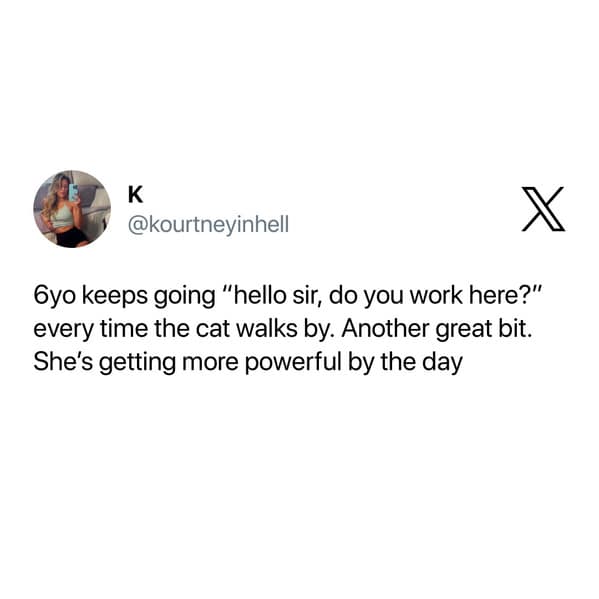 A funny cat meme tweet about a child repeatedly asking the family cat "do you work here?"