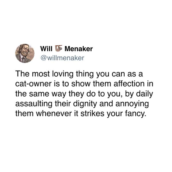 A funny cat meme tweet suggesting the best way to show cats love is by annoying them constantly.