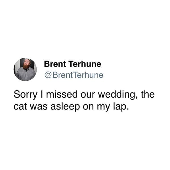 A funny cat meme tweet providing the ultimate excuse for missing a wedding: cat nap entrapment.