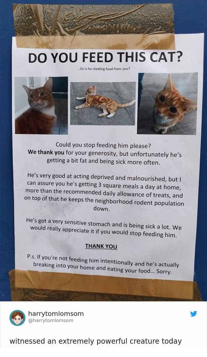 A funny cat sign from an owner begging neighbors to stop feeding their cat, who is a master manipulator running a food scam.