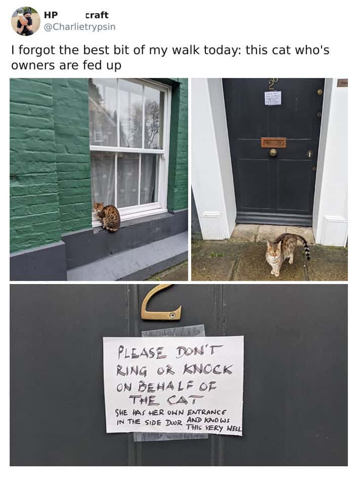 A funny cat sign on a front door telling people not to ring the bell for the cat, as it has its own entrance and is trying to trick them.