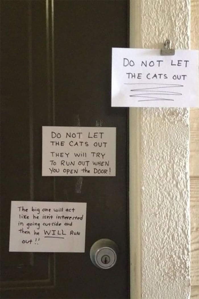 A series of increasingly desperate funny cat signs on a door warning visitors not to let the cats escape.