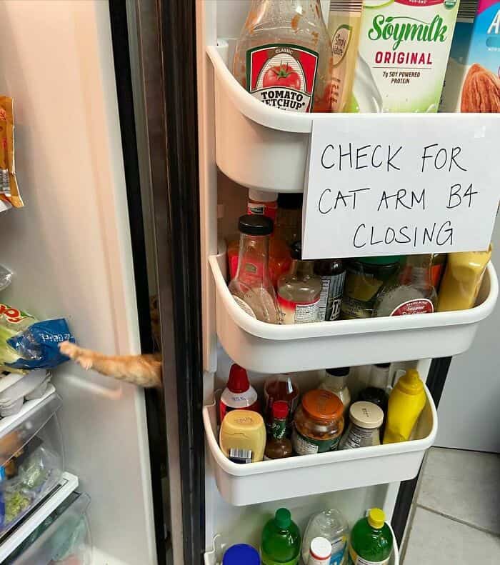 A funny cat sign on a refrigerator that reads, "CHECK FOR CAT ARM B4 CLOSING."
