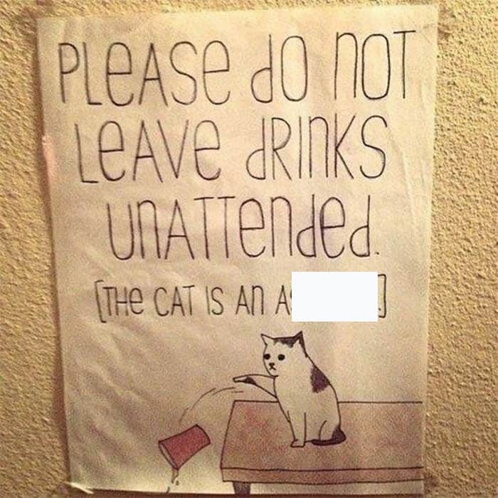 A funny cat sign warning people not to leave drinks unattended because "The cat is an a**hole."