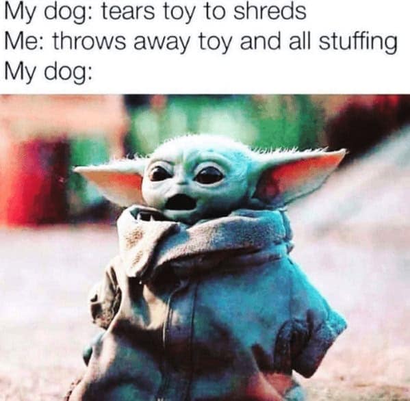 A funny dog meme using a shocked Baby Yoda to show a dog's reaction when its owner throws away a destroyed toy.