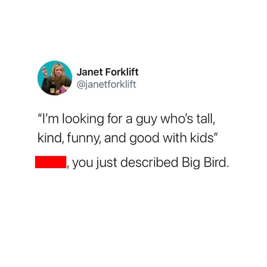 A funny tweet about height that jokes a woman's ideal man (tall, kind, good with kids) is just Big Bird.