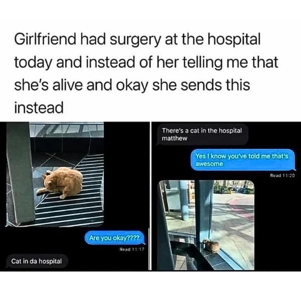 Funny text exchange where a girlfriend ignores "Are you okay?" to text about a cat in the hospital.