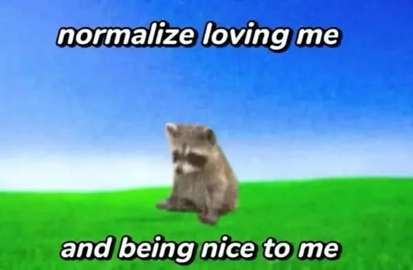 A cute raccoon sitting in a field with the caption "normalize loving me and being nice to me."