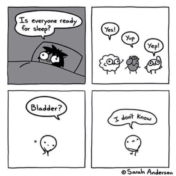 A funny comic by Sarah Andersen where the brain, heart, and glasses are ready for sleep but the bladder is not.