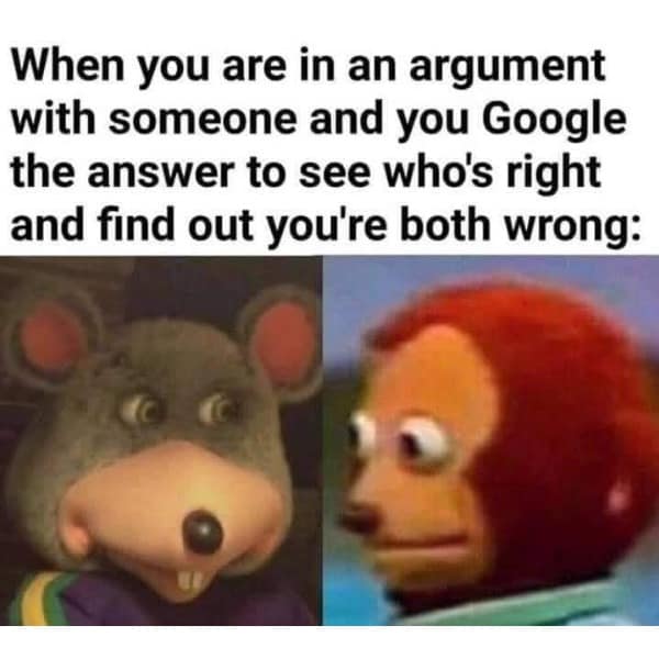 A meme with Chuck E. Cheese and the awkward puppet staring, representing when both people in an argument are wrong.
