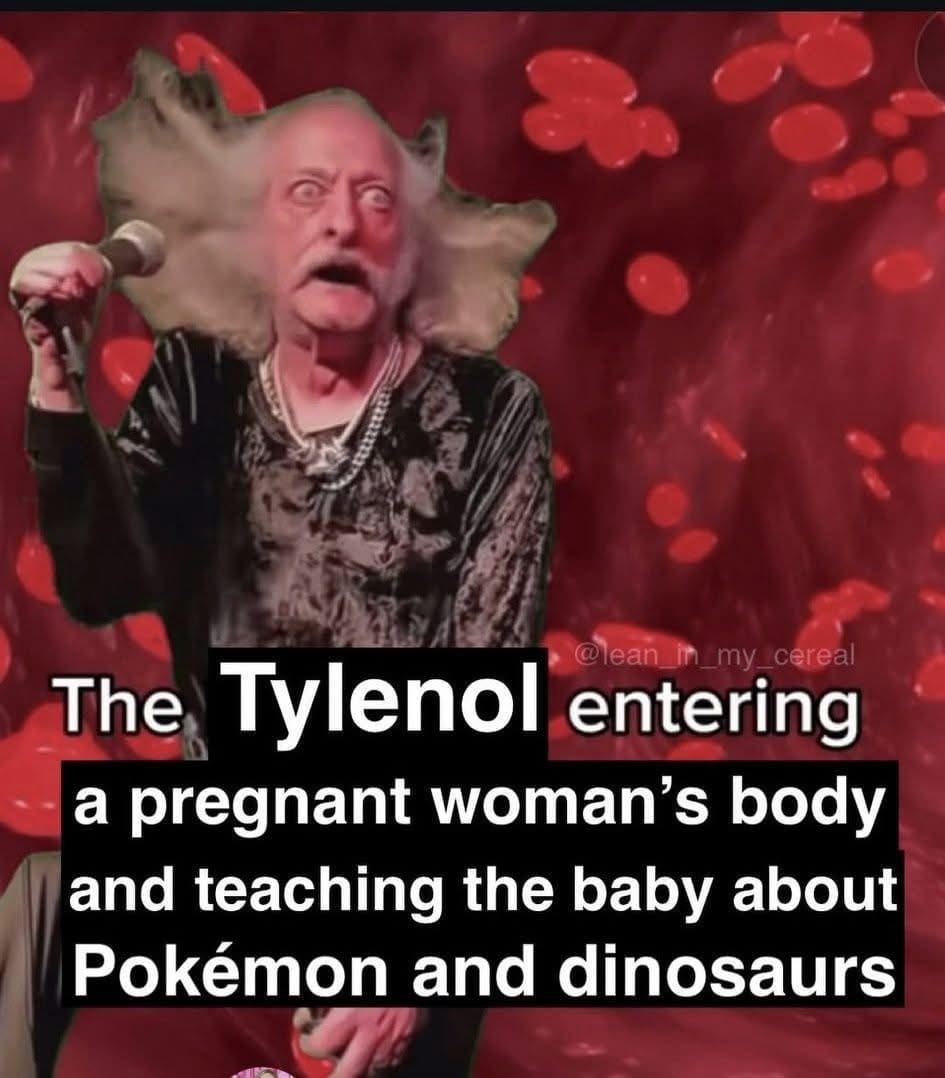 An absurd and surreal meme about Tylenol teaching a fetus in the womb about Pokémon and dinosaurs.