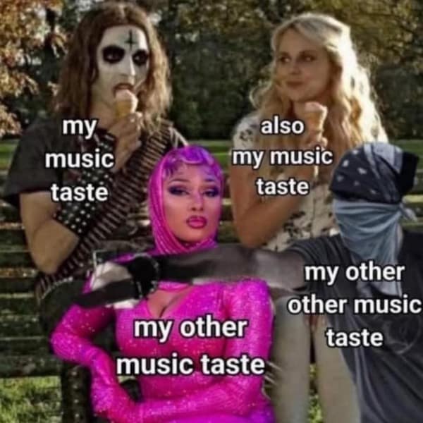 A funny meme showing four extremely different music tastes, from black metal to Megan Thee Stallion, all in one person.
