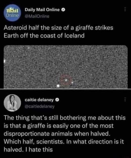 A funny meme reply questioning the scientific measurement "half the size of a giraffe."