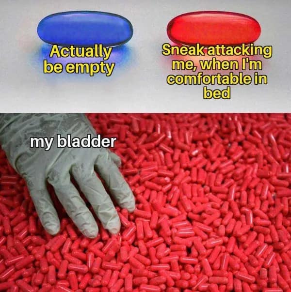 Funny Matrix meme format showing a bladder always choosing the red pill: needing to pee when comfortable in bed.